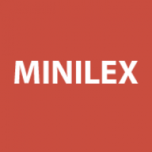 Minilex-lakineuvonta